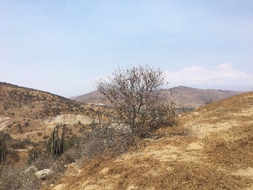 Imagen 19