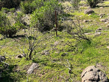 Imagen 7