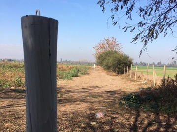 Venta / Terreno / Lampa