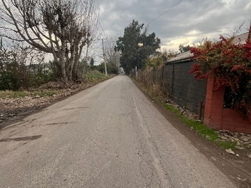 Imagen 5