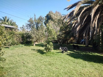 Venta / Terreno / Lampa