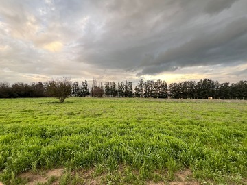 Venta / Terreno / Lampa