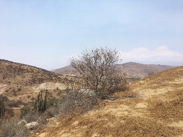 Imagen 7