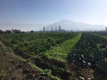 Venta / Terreno / Lampa