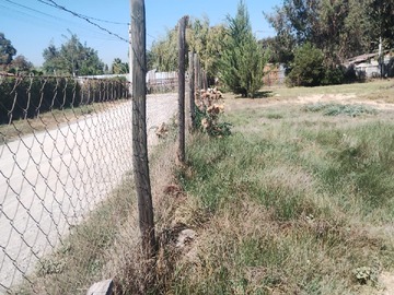 Imagen 9
