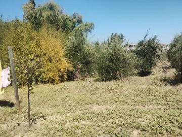 Imagen 5