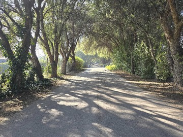 Venta / Terreno / Lampa