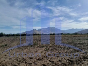 Imagen 11