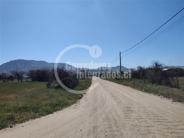 Imagen 6