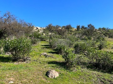 Venta / Terreno / Lampa