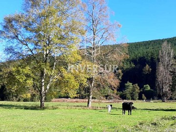 Venta / Terreno / Lanco