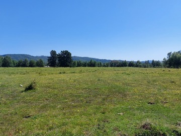 Venta / Terreno / Lanco