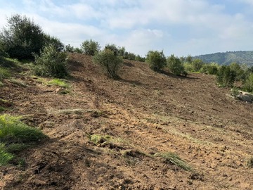 Venta / Terreno / Las Cabras