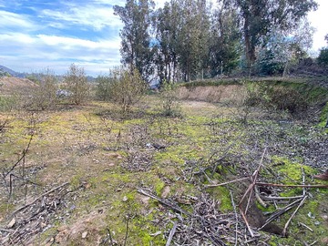 Imagen 4