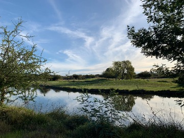 Venta / Terreno / Las Cabras