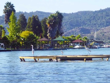Imagen 4