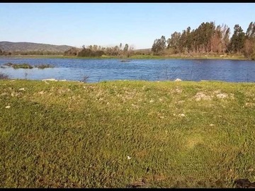 Venta / Terreno / Las Cabras