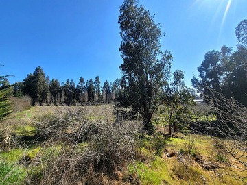 Venta / Terreno / Las Cabras