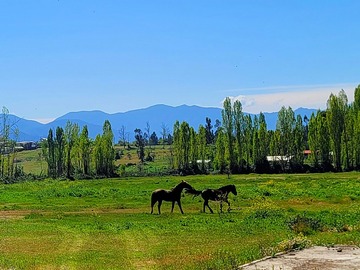 Venta / Terreno / Las Cabras