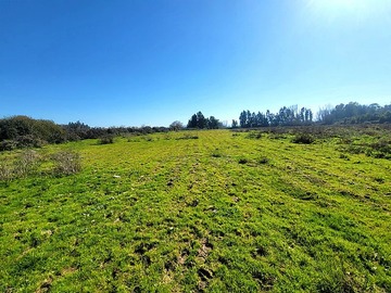 Venta / Terreno / Las Cabras