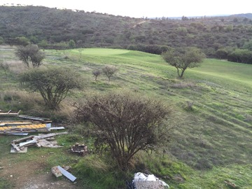 Venta / Terreno / Las Cabras