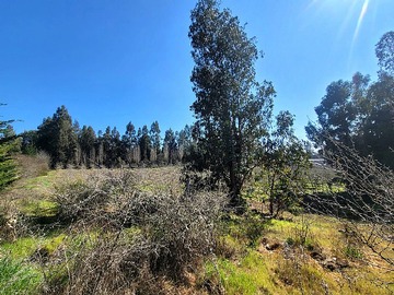 Venta / Terreno / Las Cabras