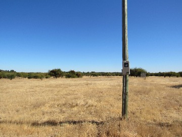 Venta / Terreno / Las Cabras