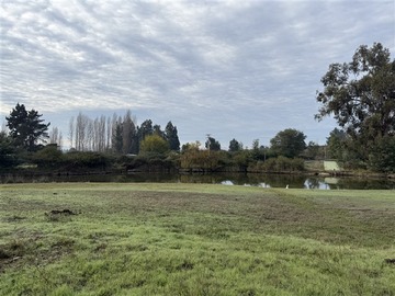 Imagen 19