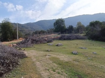 Venta / Terreno / Las Cabras