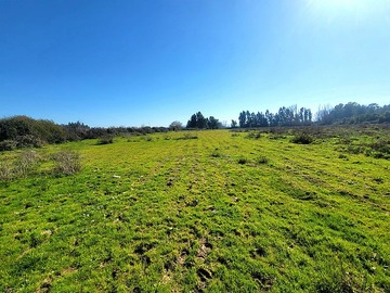 Venta / Terreno / Las Cabras