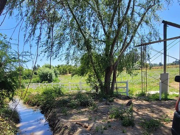 Venta / Terreno / Las Cabras