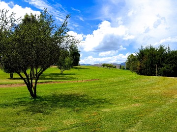 Venta / Terreno / Las Cabras
