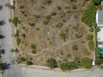Imagen 8