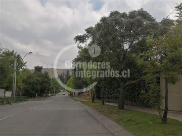 Imagen 10