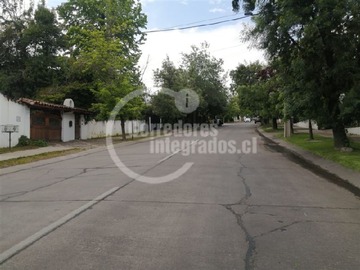 Imagen 11
