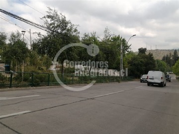 Imagen 13
