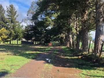 Venta / Terreno / Lautaro