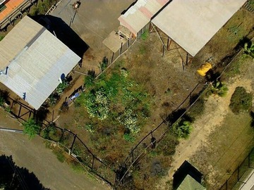 Venta / Terreno / Licantén