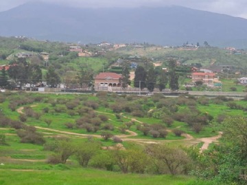 Imagen 22