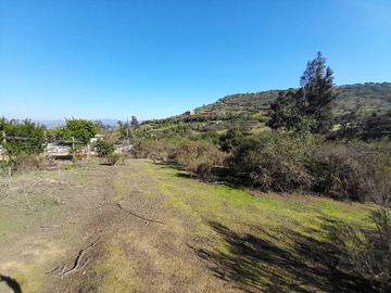 Imagen 14