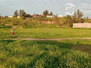 Venta / Terreno / Limache