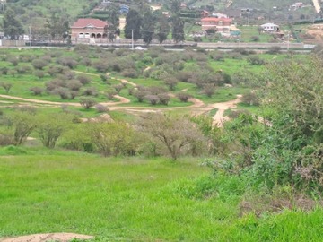 Imagen 21