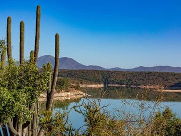 Venta / Terreno / Limache