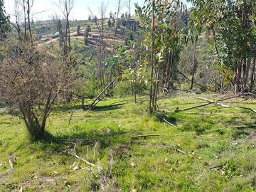 Imagen 16