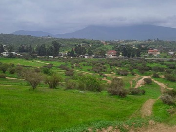 Imagen 23