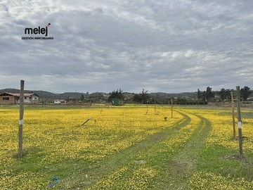 Venta / Terreno / Limache