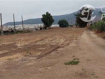 Venta / Terreno / Limache