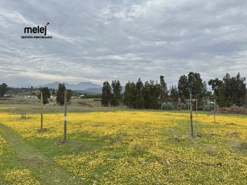 Venta / Terreno / Limache
