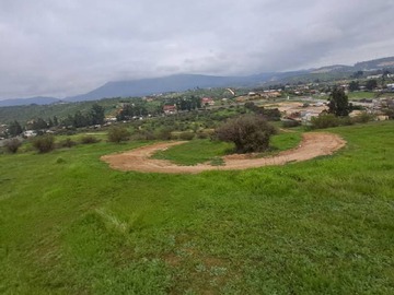 Imagen 6
