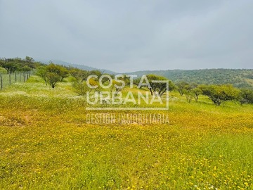 Venta / Terreno / Limache